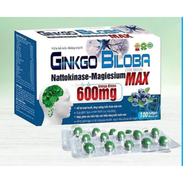 Ginkgo Biloba 600mg Bổ Sung Dưỡng Chất Cho Não, hoạt huyết dưỡng não giảm đau đầu chóng mặt, ngủ ngon giấc