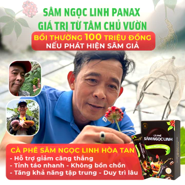 Panax Boost Cafe Sâm Ngọc Linh hòa tan – Hỗ trợ Tỉnh táo tập trung, giảm mệt mỏi , hộp 15 gói