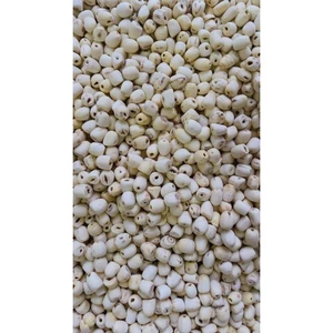 450gr hạt Sen Huế Khô- Hạt sen loại I, sen vụ mới 2026 PT