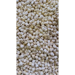 [Giá sỉ] 450gr hạt Sen Huế Khô- Hạt sen loại I, sen vụ mới 2026 PT