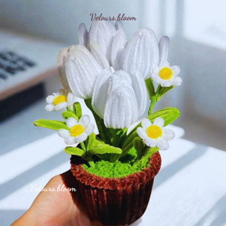 [Velours.bloom] Chậu Hoa Kẽm Nhung Handmade Trang Trí Sáng Tạo - Sắc Màu Cho Góc Làm Việc