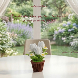 [Velours.bloom] Chậu Hoa Kẽm Nhung Handmade Trang Trí Sáng Tạo - Sắc Màu Cho Góc Làm Việc