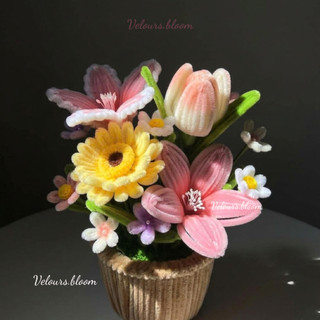 [Velours.bloom] Chậu Hoa Kẽm Nhung Handmade Trang Trí Sáng Tạo - Sắc Màu Cho Góc Làm Việc