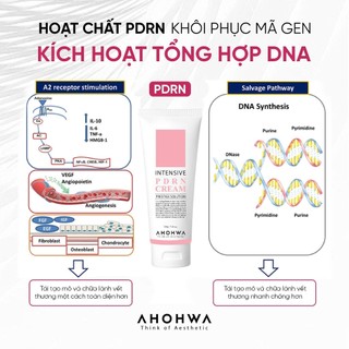 Kem Dưỡng Ahohwa Intensive PDRN Cream Phục Hồi Trẻ Hóa 50g Duduhouse