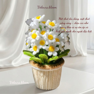 [Set Nguyên Liệu] Set DIY Chậu Cúc Nhỏ Xinh – Đầy Đủ Nguyên Liệu Làm Hoa Kẽm Nhung Thủ Công – Velours.bloom