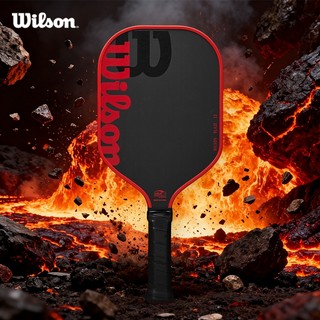 Wilson Blaze 13 Vợt Pickleball Paddle WR157911U2