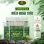 Điếu Ngải Cứu Giảm Đau, Thư Giãn, Chăm Sóc Sức Khỏe Tại Nhà An Toàn Tiện Lợi - Dụng Cụ Xông Ngải Cứu Bằng Gỗ Cao Cấp