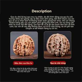 Bóng Massage ,Quả Cầu Óc Chó ,Massage Tay Ấn Huyệt Lòng Bàn Tay Thư Giãn Giảm Căng Thẳng