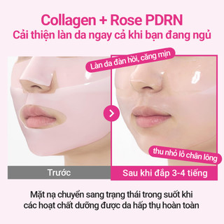 Mặt nạ giấy NUMBUZIN No.2 Rose PDRN Overnight Collagen Plumping Sheet Mask, dưỡng ẩm, phục hồi, căng bóng làn da 33ml