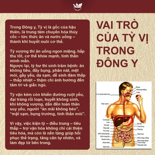 Trà Kiện Tỳ - Hapufarm - thảo mộc 10 vị giúp Ăn Dễ Tiêu, Đỡ Đầy Bụng, Hỗ trợ chuyển hóa và hấp thu tốt hơn