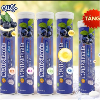 multivitamin Plus vị Việt Quất , giải nhiệt mùa hè vị thơm dễ uống, tuýp 20 viên