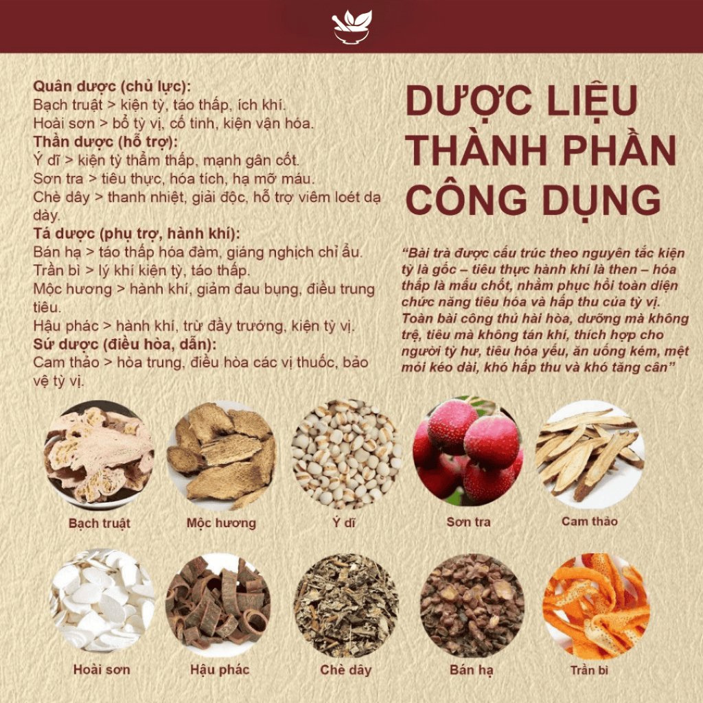 Trà Kiện Tỳ Vận Hóa Tốt -  Cải Thiện Đầy Hơi Khó Tiêu, Ăn Uống Dễ Chịu, Tăng Khả Năng Hấp Thu, Giữ Dáng Cân Đối Tự Nhiên