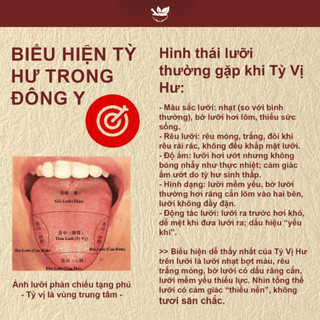 Trà Kiện Tỳ - Hapufarm - thảo mộc 10 vị giúp Ăn Dễ Tiêu, Đỡ Đầy Bụng, Hỗ trợ chuyển hóa và hấp thu tốt hơn