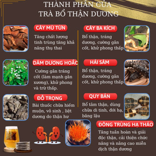 Trà Thảo Mộc Phục Dương - Lụcbinhorganic - Bổ thận tráng dương, dưỡng thận, mạnh tâm, thông huyết mạch Bịch 30 lọc