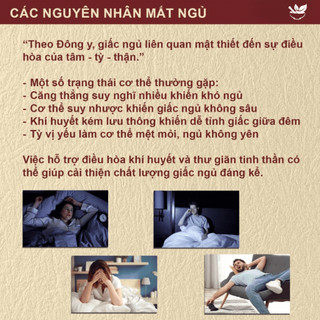 Trà Dưỡng Khí Huyết 10 Vị Bổ khí - LụcBìnhOrganic - sinh huyết, tăng tuần hoàn, giảm mệt mỏi, da hồng hào, tóc khỏe