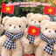 Teddy Mini Đeo Khăn Caro Siêu Cute – Gấu Bông Nhỏ Xinh Hot Trend