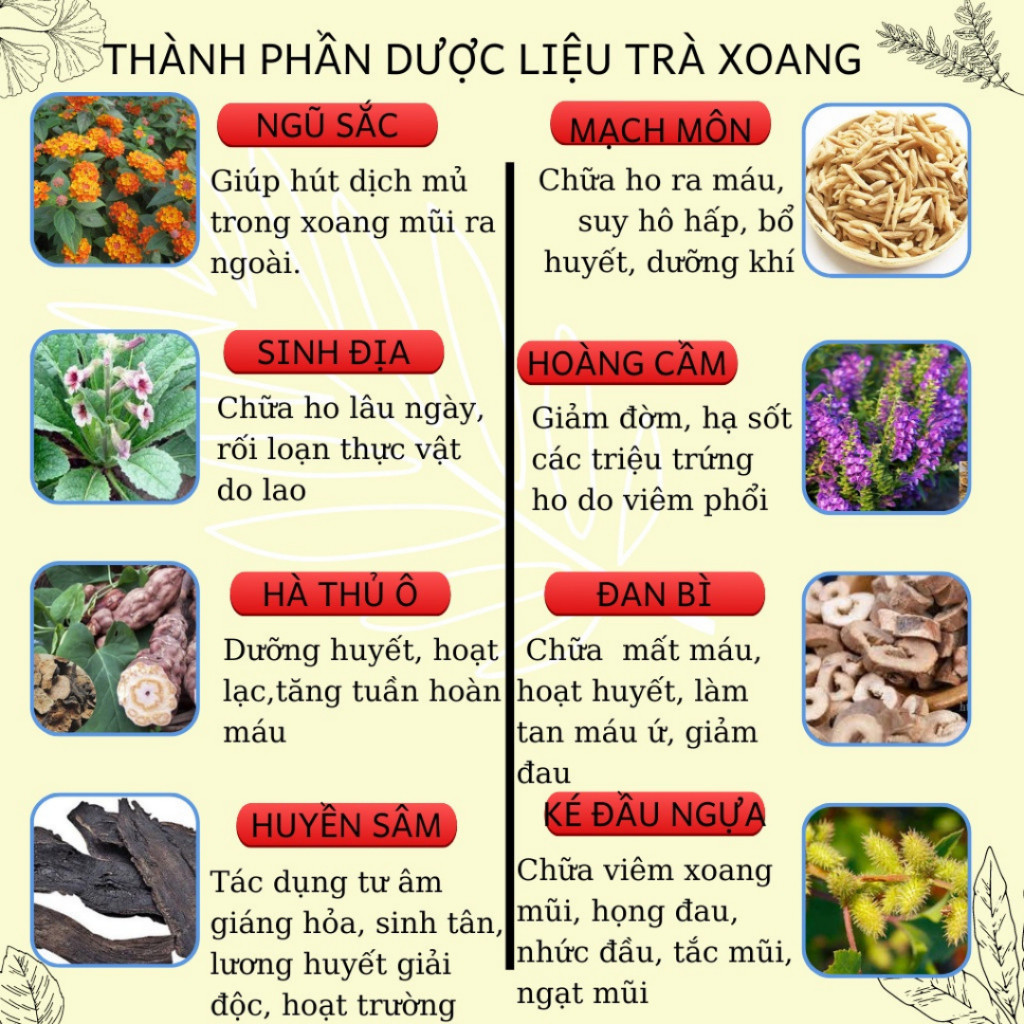 Trà An Xoang Thảo Mộc Tạo Cảm Giác Dễ Chịu Vùng Mũi, Thông Thoáng Nhẹ Nhàng, Phù Hợp Khi Thời Tiết Thay Đổi