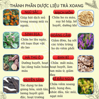 Trà An Xoang thảo mộc - Lụcbinhorganic - Dễ Chịu Vùng Mũi - Phù Hợp Khi Thời Tiết Thay Đổi