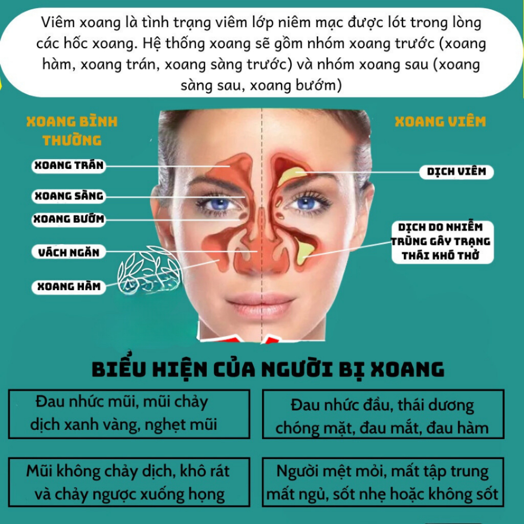 Trà An Xoang Thảo Mộc Tạo Cảm Giác Dễ Chịu Vùng Mũi, Thông Thoáng Nhẹ Nhàng, Phù Hợp Khi Thời Tiết Thay Đổi