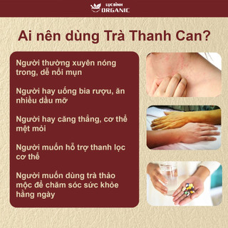 Trà Thanh Can - Ankhangorganic - 11 vị thảo mộc thanh mát dùng cho cân bằng cơ thể
