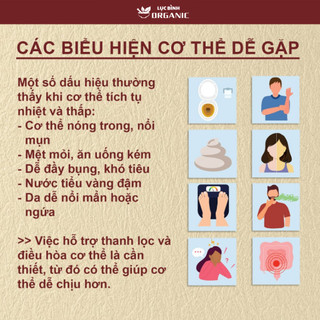 Trà Thanh Can - Ankhangorganic - 11 vị thảo mộc thanh mát dùng cho cân bằng cơ thể