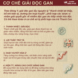 Trà Thanh Can - Ankhangorganic - 11 vị thảo mộc thanh mát dùng cho cân bằng cơ thể