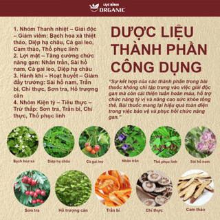 Trà Thanh Can - Ankhangorganic - 11 vị thảo mộc thanh mát dùng cho cân bằng cơ thể