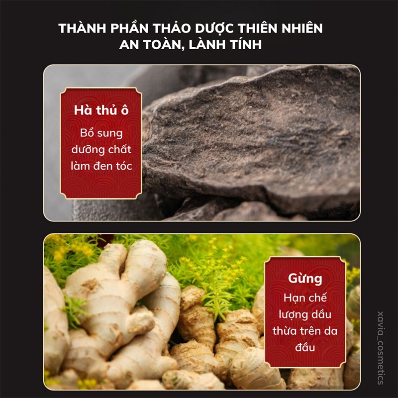 [MUA 2 GIẢM 50%] Tinh Chất Mọc Tóc Nhân Sâm 100ml Dưỡng Tóc Chắc Khỏe Hỗ Trợ Giảm Gãy Rụng Và Nuôi Dưỡng Da Đầu
