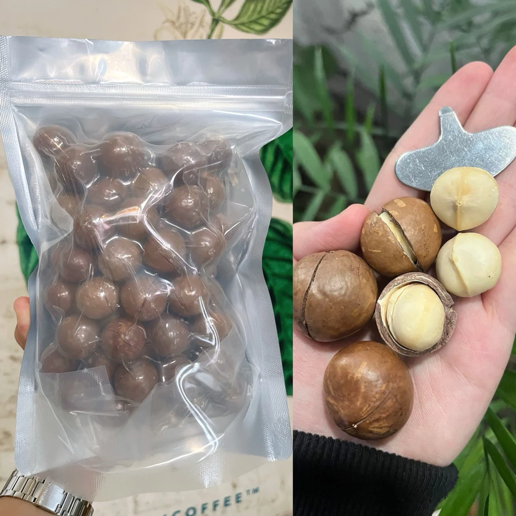 HẠT MACCA nứt vỏ 500g – Hạt Macca Lâm Đồng sấy chín, giàu dinh dưỡng, giòn thơm béo bùi
