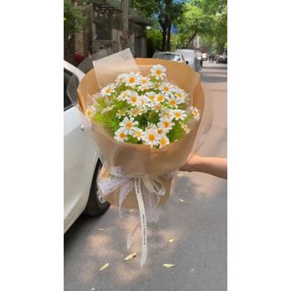 Bó hoa cúc họa mi giá rẻ, xinh xắn làm quà tặng dịp sinh nhật, tốt nghiệp, 8/3, 20/10, 20/11