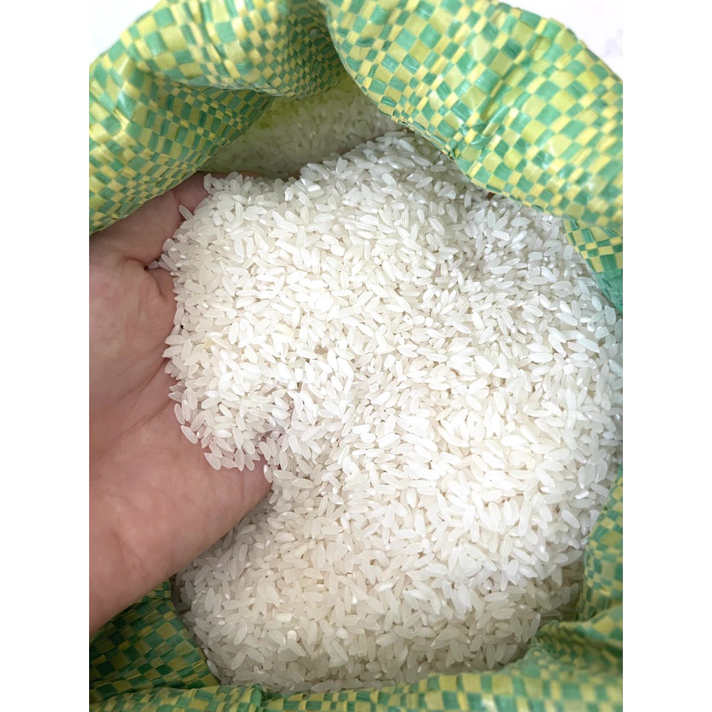Gạo Hàm Châu túi 10kg nở xốp cơm không dẻo ngon nhất khi dùng nóng