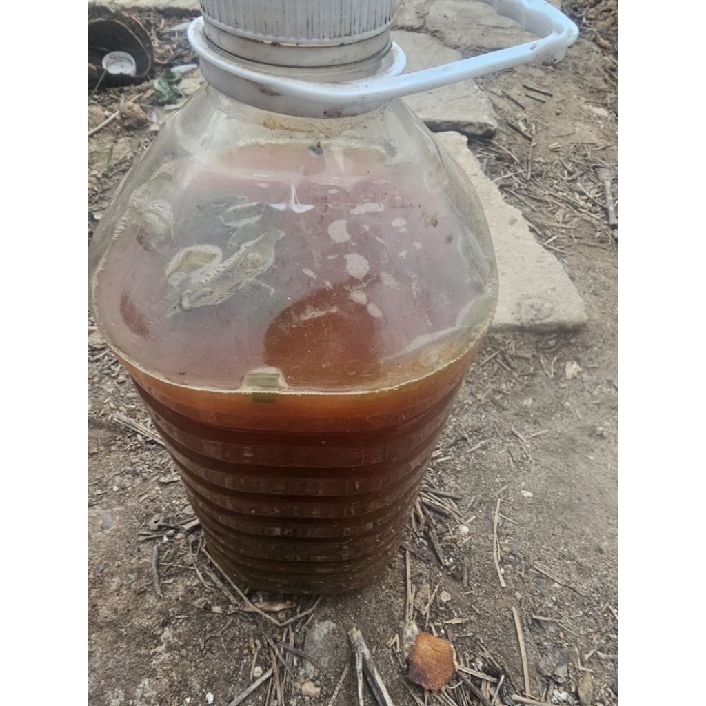 Dịch nha đam -  trồng cây - chai 1l