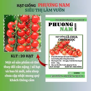 20h - Hạt Giống Cà Chua Chuỗi Ngọc Phương Nam