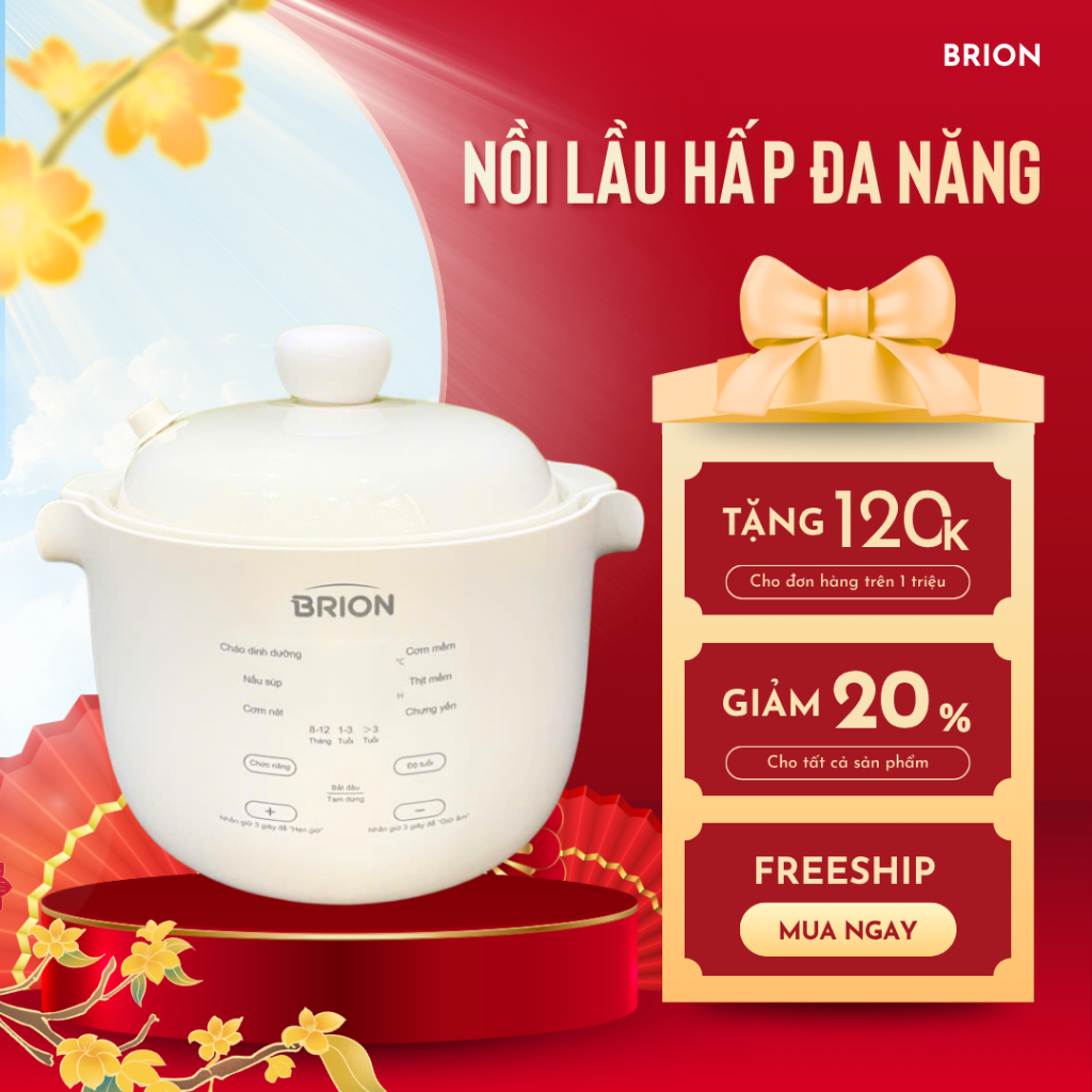 Nồi Nấu Chậm Đa Năng BRION Hàng Chính Hãng Bảo Hành 24 Tháng Chưng Yến, Hầm Cháo Ăn Dặm Và Thức Ăn