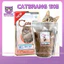 Thức ăn hạt Cho Mèo Mọi Lứa Tuổi Catsrang/Cateye 3KG