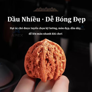 Bóng Massage ,Quả Cầu Óc Chó ,Massage Tay Ấn Huyệt Lòng Bàn Tay Thư Giãn Giảm Căng Thẳng