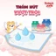 Miếng lót vệ sinh cho chó PURMI PAD 50 miếng 40cm x 50cm