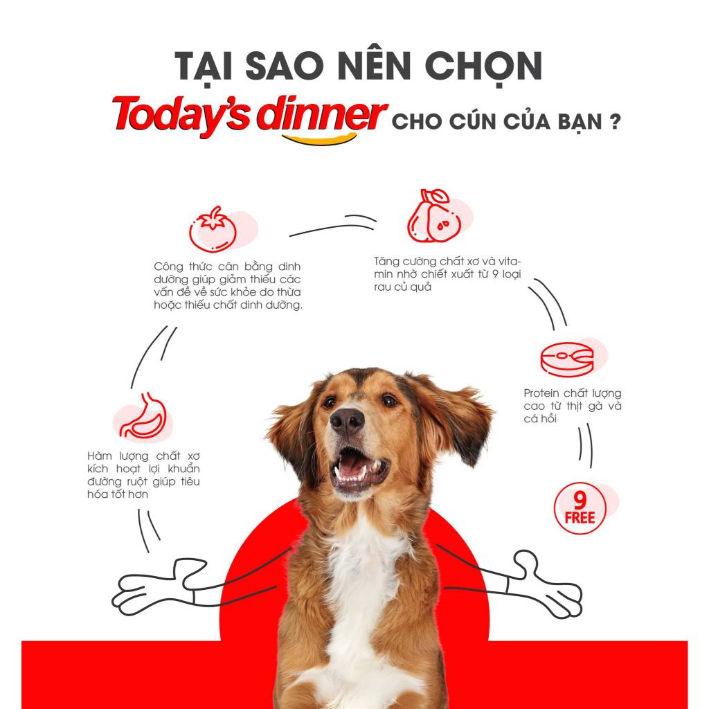 [5KG] Thức ăn hạt Cho Chó Nhỏ/ Chó Lớn/ Chó Mọi Lứa Tuổi Today's Dinner