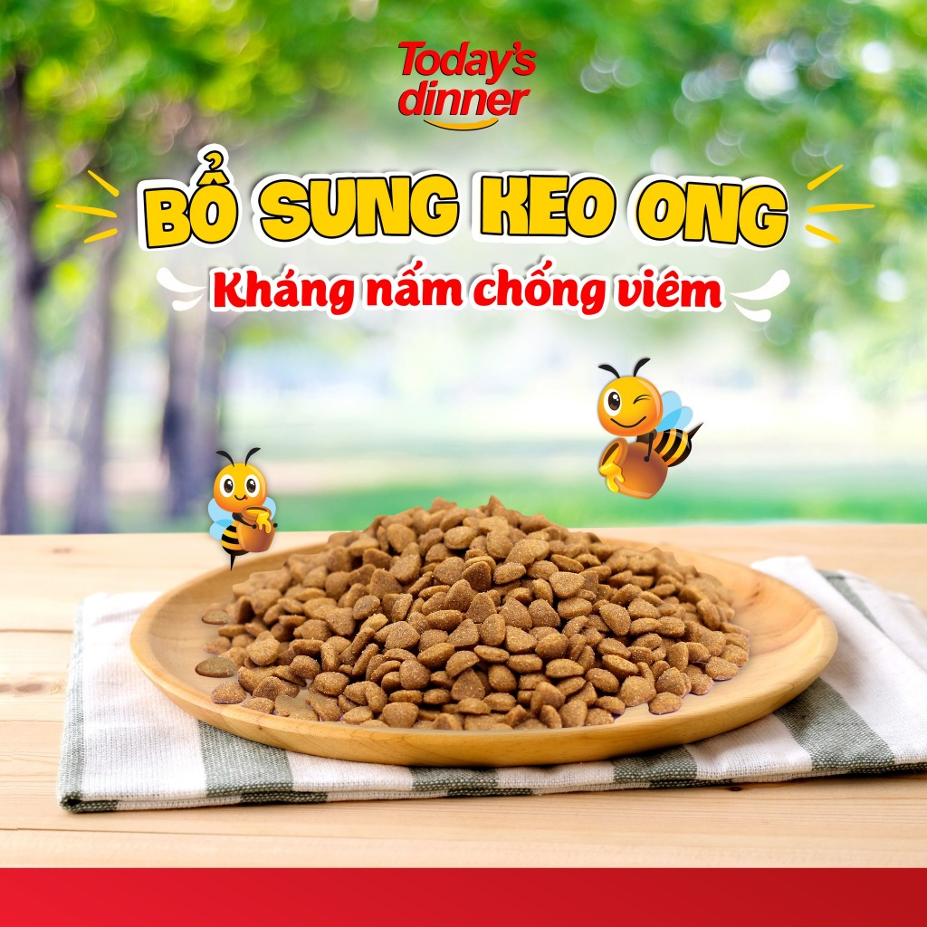 [5KG] TODAY'S DINNER ALL LIFE - Thức ăn hạt cho Mèo Mọi Lứa Tuổi dinh dưỡng ngừa búi lông nhập khẩu Hàn Quốc