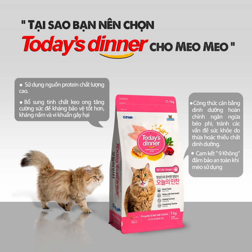 [1KG] TODAY'S DINNER - Thức ăn hạt cho Mèo Mọi Lứa Tuổi
