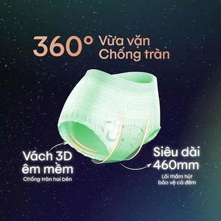[THÙNG 16 GÓI] Băng Vệ Sinh Quần Kotex Herbal Ban Đêm M-L 2 Miếng/Gói - Lucie's Mom