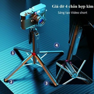 Gậy chụp ảnh 4 chân  aleiter P185/195 Dài 1m8 Gậy chụp ảnh Bluetooth chống rung quay phim chụp ảnh