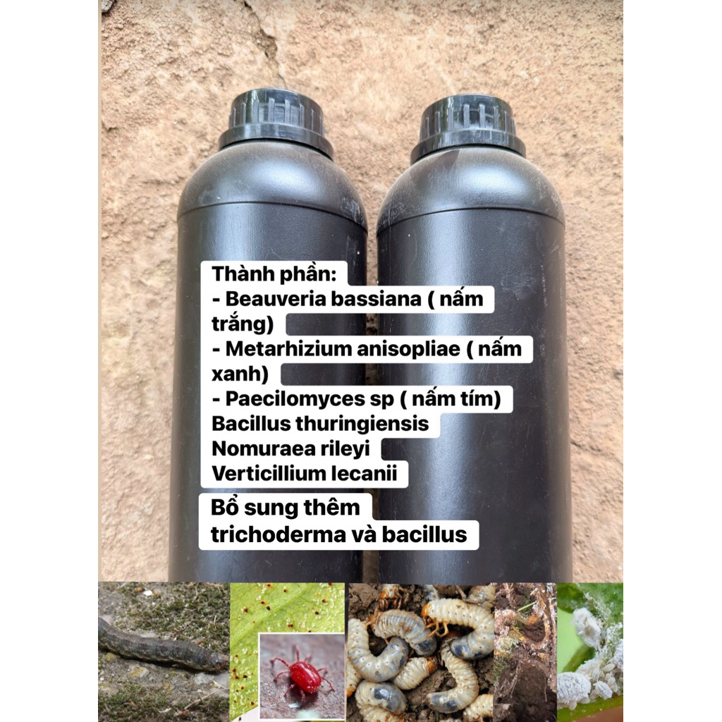 1L Chế Phẩm Nấm Ba Màu Sinh Học – Beauveria + Metarhizium + Paecilomyces – Hỗ Trợ Kiểm Soát Sâu Hại, Bảo Vệ Cây Trồng