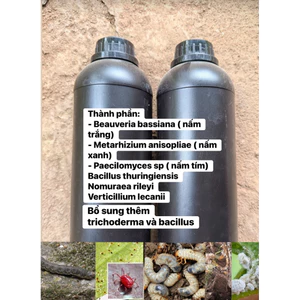 1L Chế Phẩm Nấm Ba Màu Sinh Học – Beauveria + Metarhizium + Paecilomyces – Hỗ Trợ Kiểm Soát Sâu Hại, Bảo Vệ Cây Trồng