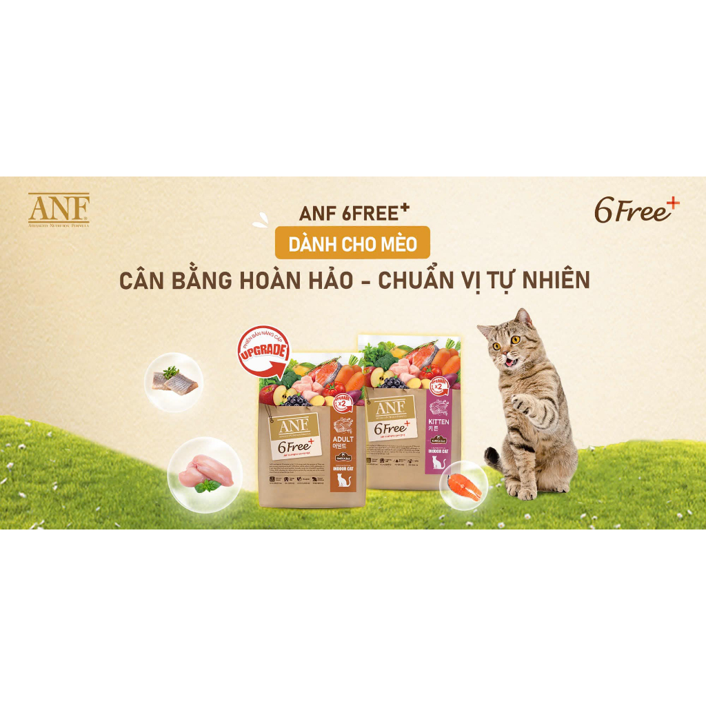 [BẢN NÂNG CẤP X2 TIẾT KIỆM] Thức ăn hạt hữu cơ Cho Mèo ANF 6 FREE+ 5.6KG nhập khẩu Hàn Quốc