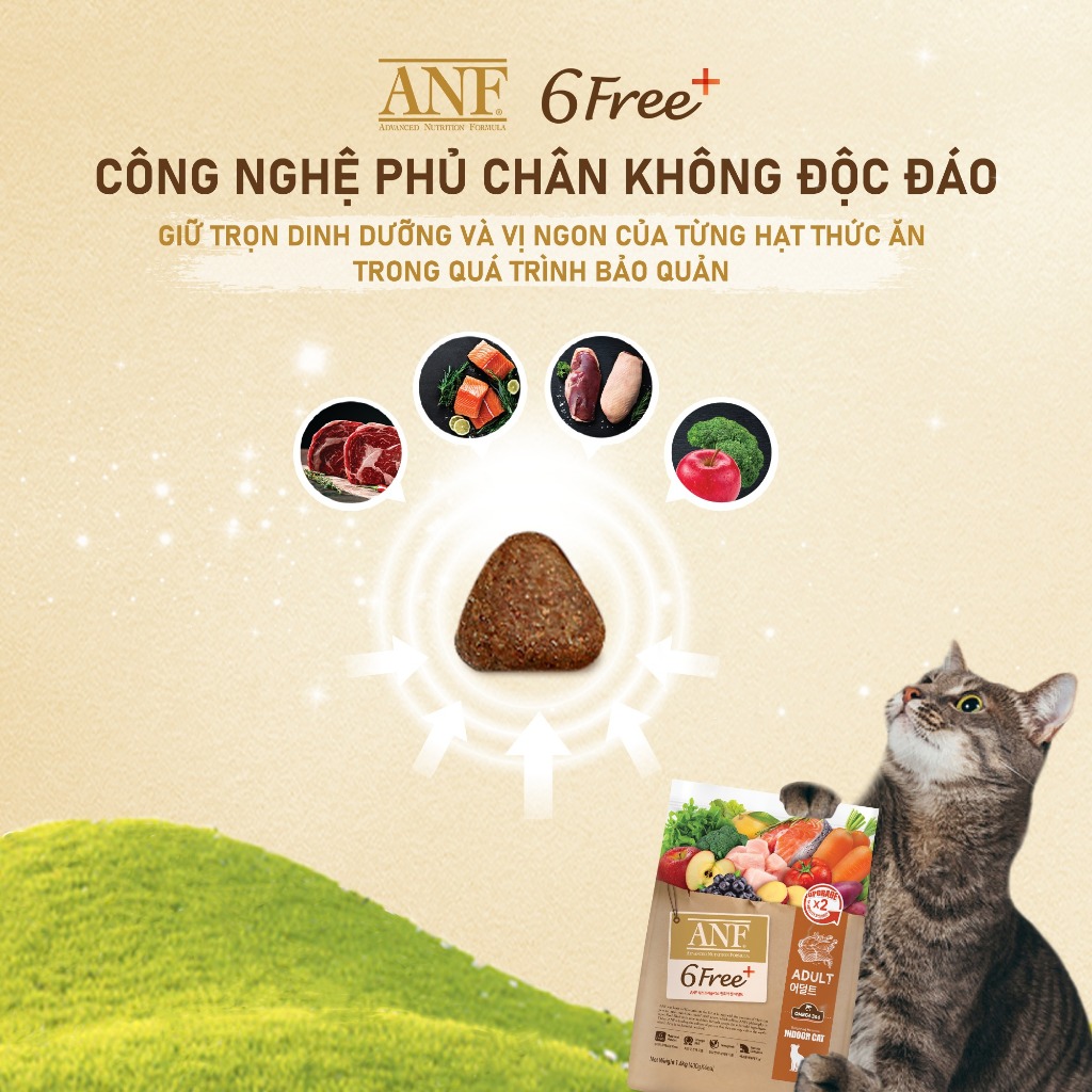 [400GRAM|ƯU ĐÃI] Thức ăn hạt hữu cơ Cho Mèo Nhỏ/Mèo Trưởng Thành ANF 6 FREE ADULT