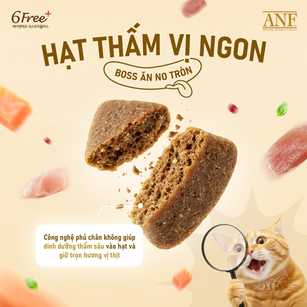 [BẢN NÂNG CẤP X2 TIẾT KIỆM] Thức ăn hạt hữu cơ Cho Mèo ANF 6 FREE+ 5.6KG nhập khẩu Hàn Quốc