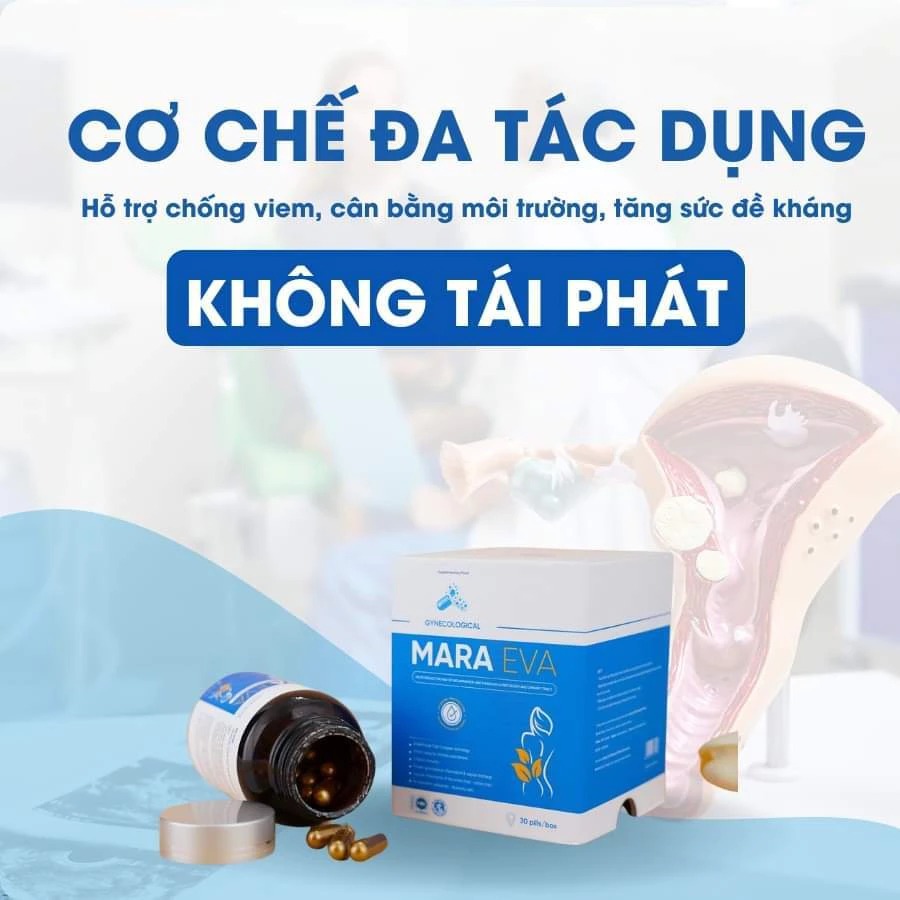 Phụ khoa Mara Eva Thanh Mộc Hương ngừa viêm phụ khoa khí hư hộp 30 viên