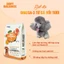 Soft Balance- Thức ăn hạt mềm cho chó mọi lứa tuổi vị cá hồi, vịt 100gr nhập khẩu Hàn Quốc
