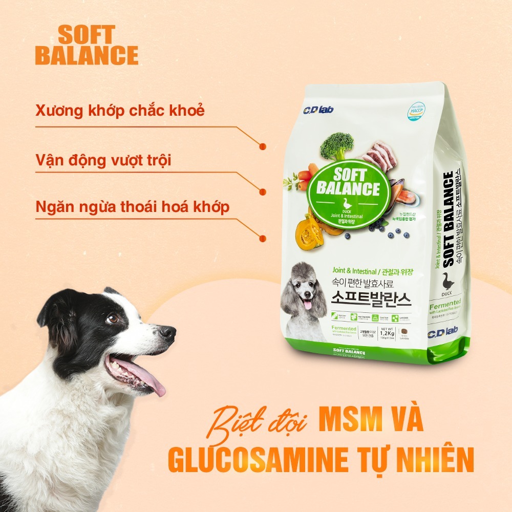 [100GRAM] Soft Balance- Thức ăn hạt mềm cho chó mọi lứa tuổi vị cá hồi, vịt 100gr nhập khẩu Hàn Quốc